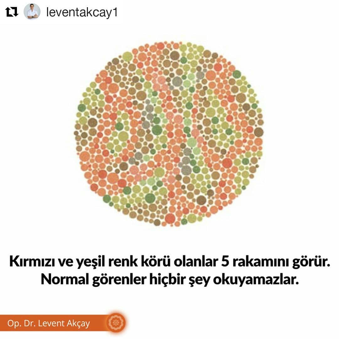 #Repost @leventakcay1 (@get_repost)
・・・
Kendinizi test edin. Bir şey görebiliyor musunuz yoksa göremiyor musunuz?
Rakam görmüyorsanız sağlamsınız.

#renkkörlüğü #test #gözsağlığı #leventakçay